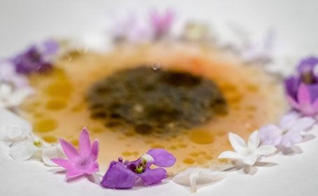 An 18 dish modern french course accented with edible flowers and with a focus on sustainability