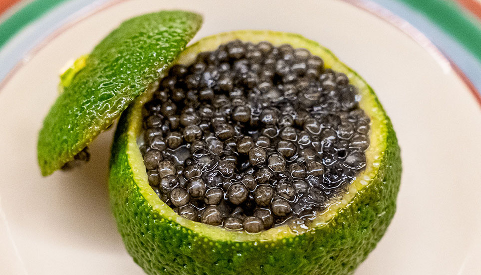 05|日本料理 久丹 日本料理(新富)