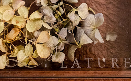 Elevated French Cuisine Featuring Gibier as the Star Ingredient