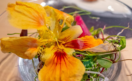 Yakitori Shinohara is one of the only restaurants in Tokyo where you can experience world-renowned "Kobe Takasaka Chicken"